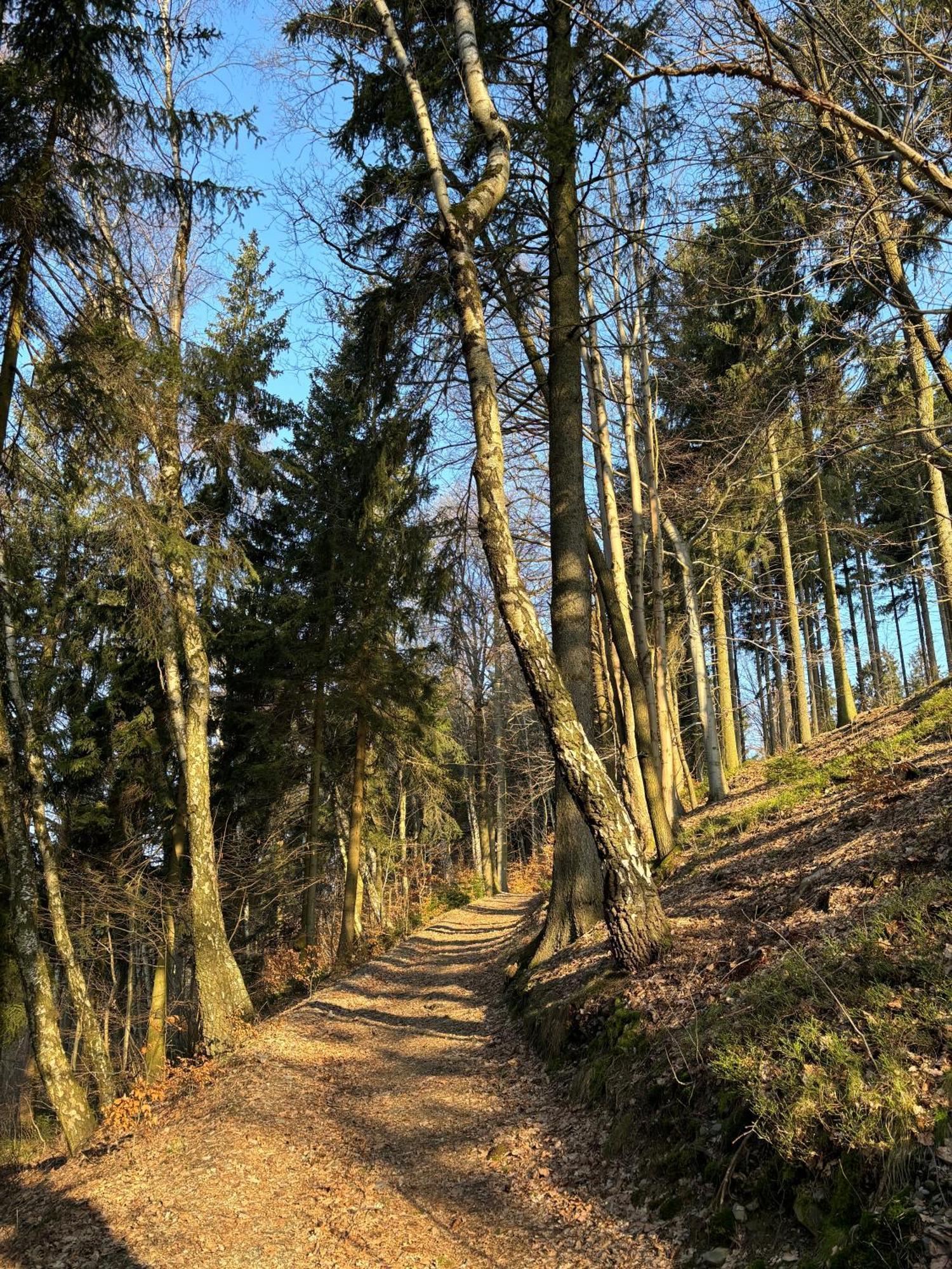 House Of Harry - Horska Liberec